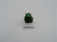 藏品(台灣青銅金龜)的圖片